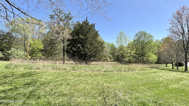 Swan Pond Circle Rd, Harriman, TN 37748 - photo 2