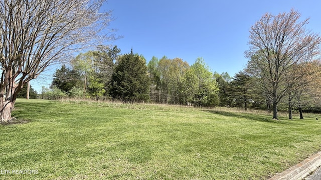 Swan Pond Circle Rd, Harriman, TN 37748 - photo 3