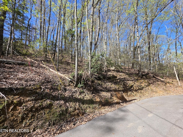 Carter Plz, Gatlinburg, TN 37738