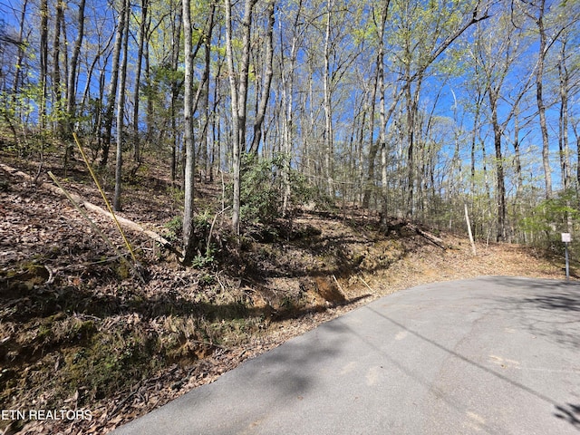 Carter Plz, Gatlinburg, TN 37738