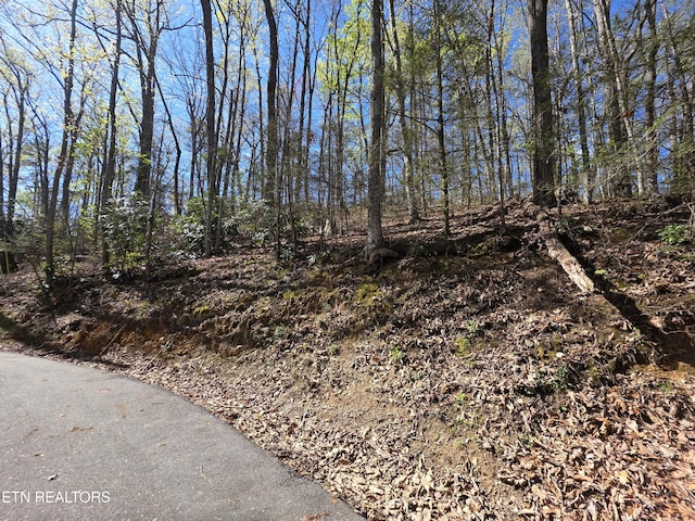 Carter Plz, Gatlinburg, TN 37738