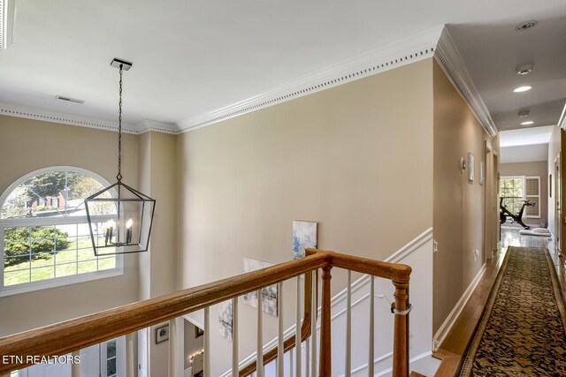 10320 Castlebridge Ct, Knoxville, TN 37922 - photo 37