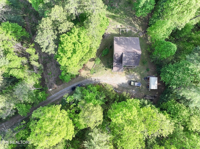 aerial view