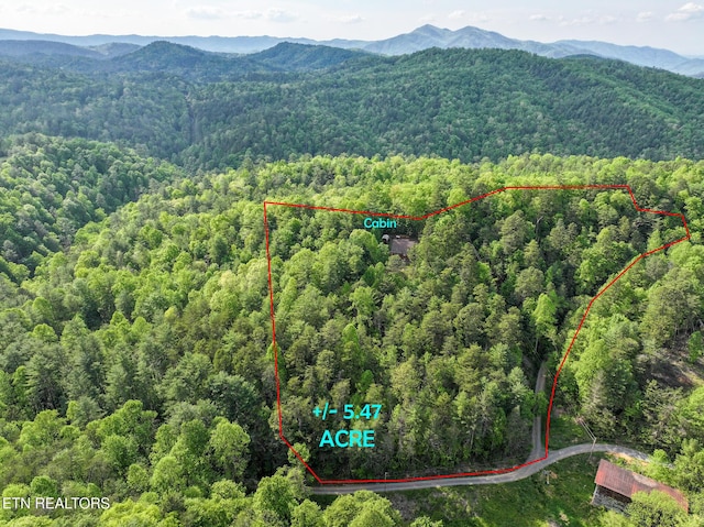 aerial view featuring a view of trees and a mountain view