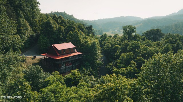 3305 Red Wolfe Rd, Sevierville, TN 37862 - photo 32