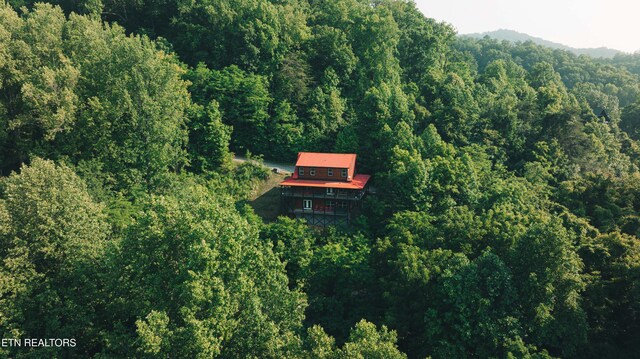 3305 Red Wolfe Rd, Sevierville, TN 37862 - photo 34