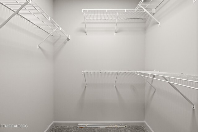 8411 Ivy Green Way, Knoxville, TN 37919 - view of walk in closet