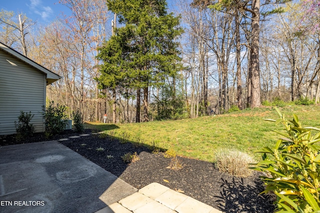 8411 Ivy Green Way, Knoxville, TN 37919 - view of yard with a patio area