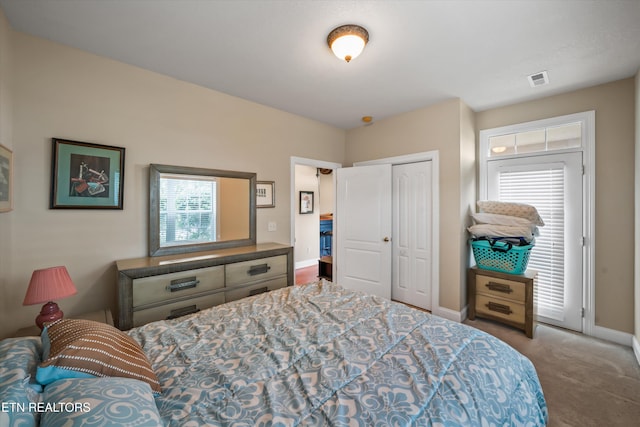 1079 Rarity Bay Pkwy, Vonore, TN 37885 - bedroom with baseboards, carpet floors, multiple windows, and a closet