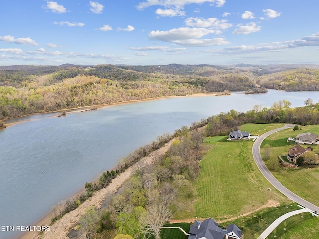 301 River Bank Trl, Loudon, TN 37774