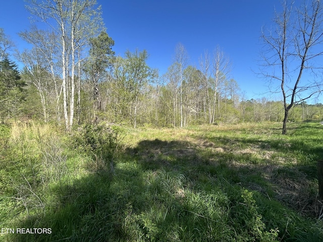 Sloan Rd, Vonore, TN 37885 - photo 2