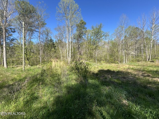 Sloan Rd, Vonore, TN 37885 - photo 3