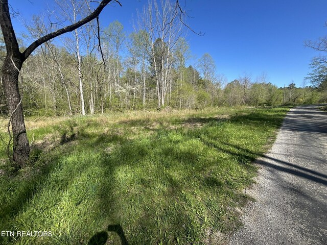 Sloan Rd, Vonore, TN 37885 - photo 4