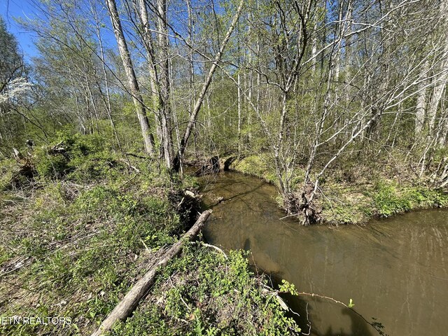 Sloan Rd, Vonore, TN 37885 - photo 8