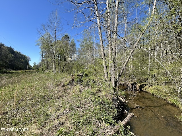 Sloan Rd, Vonore, TN 37885 - photo 11