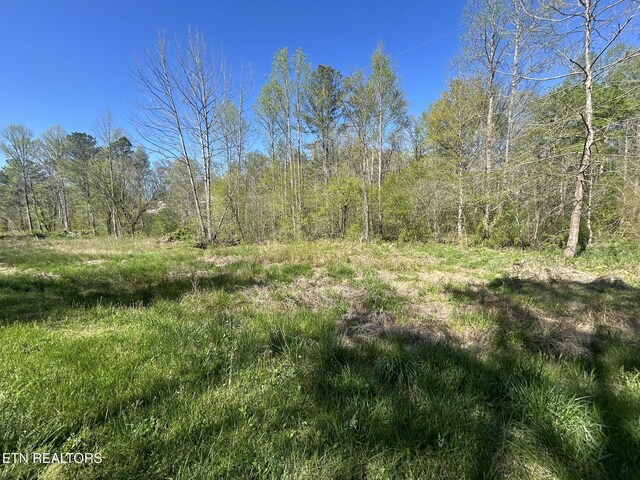 Sloan Rd, Vonore, TN 37885 - photo 12