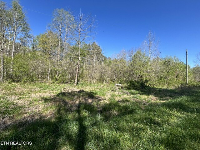 Sloan Rd, Vonore, TN 37885 - photo 13
