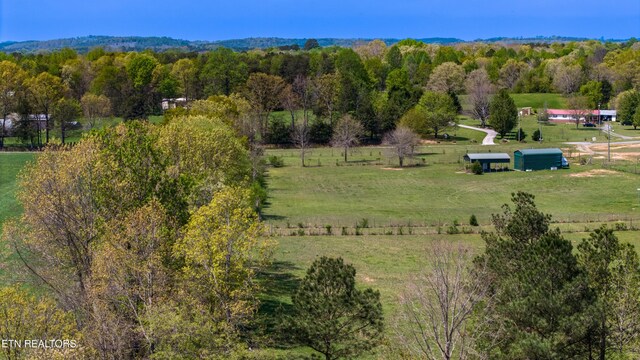 154 Friendship Church Rd, Delano, TN 37325 - photo 17