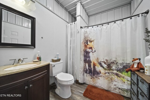 full bathroom featuring wood finished floors, toilet, vanity, and a shower with curtain