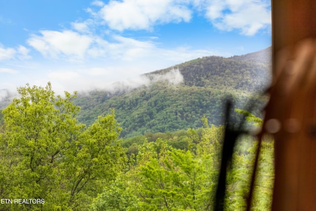 property view of mountains featuring a wooded view