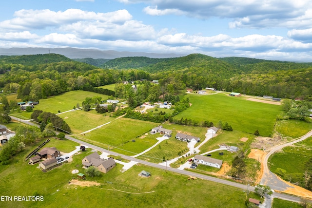 283 Red Hill Rd, Andersonville, TN 37705 - view of property location featuring a forest and a mountain backdrop