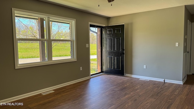 2315 Pine Grove Rd, Winfield, TN 37892 - foyer entrance with visible vents, baseboards, a wealth of natural light, and dark wood-style flooring