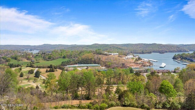 470 Deerfield Lndg Unit 5, Lafollette, TN 37766 - aerial view featuring a forest view and a water and mountain view