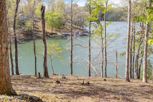 water view