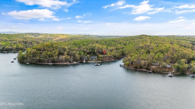 bird's eye view featuring a view of trees and a water view