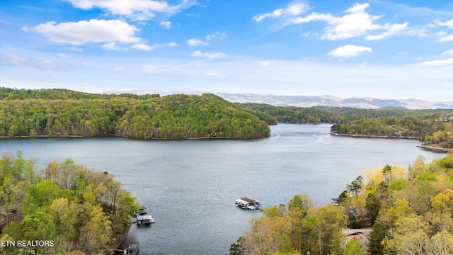 water view with a forest view
