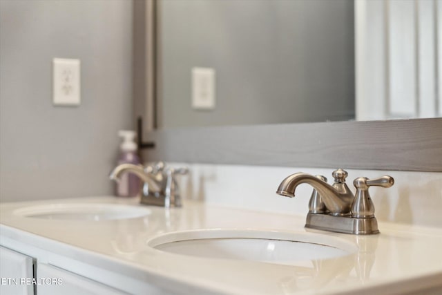 interior details featuring double vanity and a sink