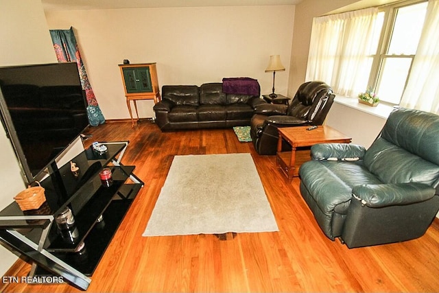living room featuring wood finished floors