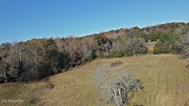 view of landscape with a forest view