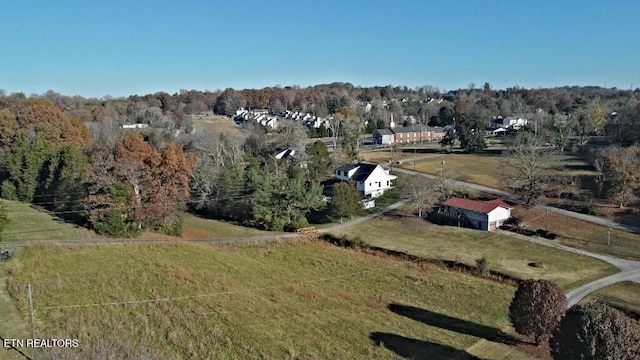 bird's eye view