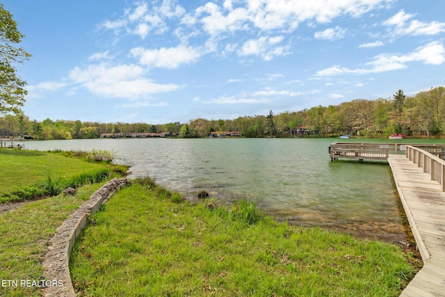 36 Lakeshore Ter Unit 15, Crossville, TN 38558 - photo 29