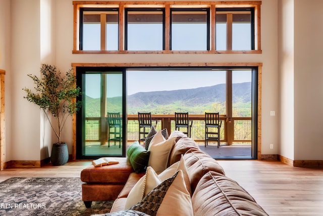 doorway to outside featuring a towering ceiling, plenty of natural light, a mountain view, and wood finished floors
