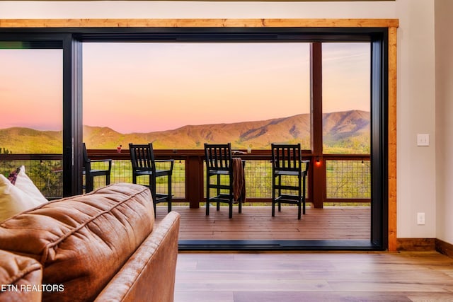 doorway with baseboards, a mountain view, and wood finished floors