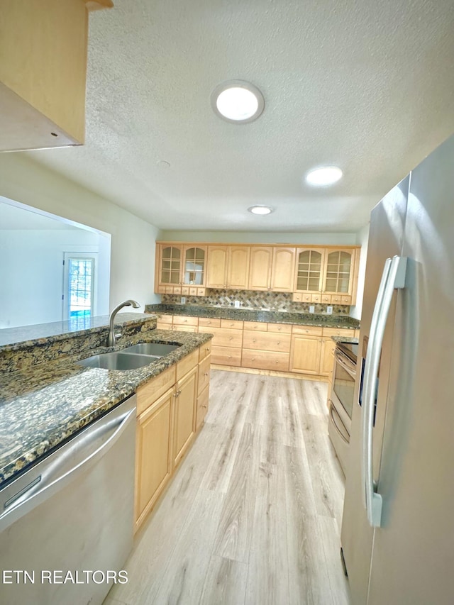 11709 Black Powder Dr, Knoxville, TN 37934 - kitchen with light brown cabinetry, stainless steel appliances, light wood-type flooring, and a sink