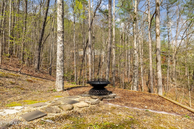 view of yard with an outdoor fire pit and a wooded view