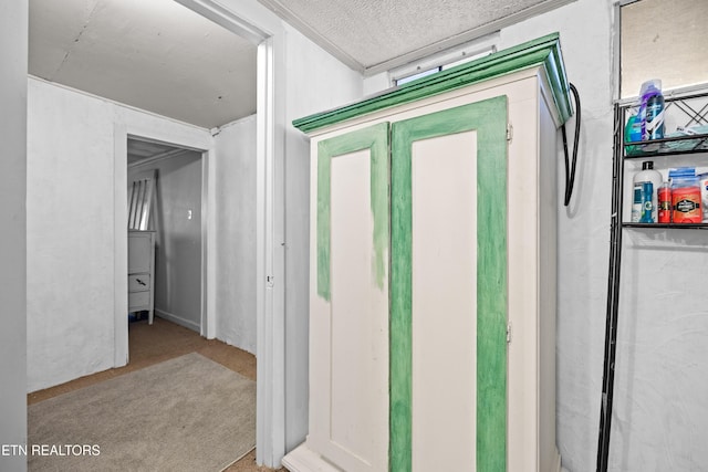 interior space with carpet