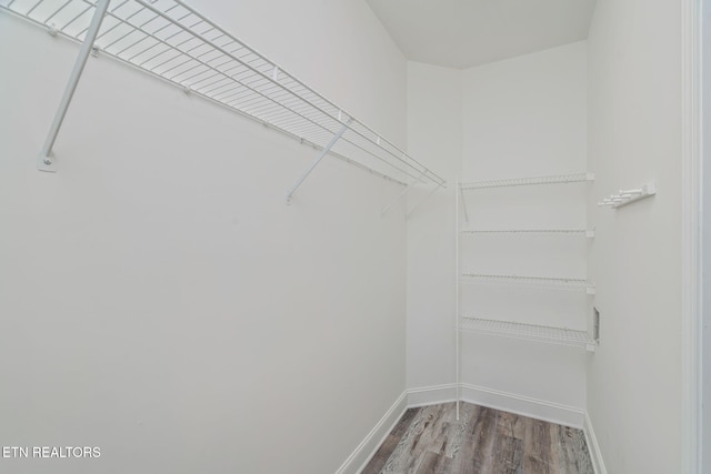 300 Willington Pl, Loudon, TN 37774 - spacious closet with wood finished floors
