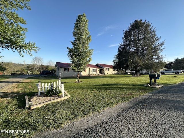 ranch-style house featuring a front yard