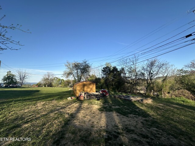 view of yard