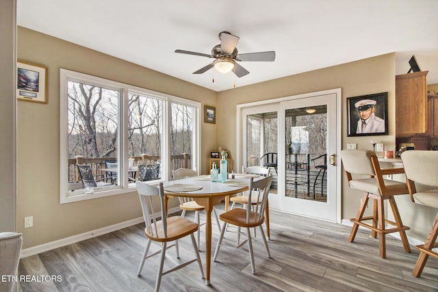 dining space featuring wood finished floors, a ceiling fan, and plenty of natural light