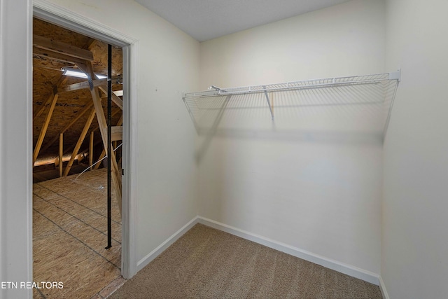 spacious closet with carpet flooring