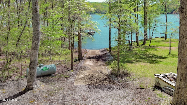 175 Kingfisher Rd, Rockwood, TN 37854 - photo 9