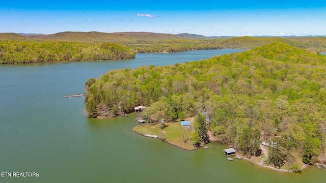 175 Kingfisher Rd, Rockwood, TN 37854 - photo 7