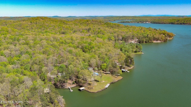 175 Kingfisher Rd, Rockwood, TN 37854 - photo 6