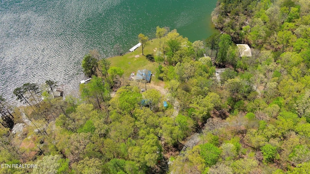 175 Kingfisher Rd, Rockwood, TN 37854 - photo 35