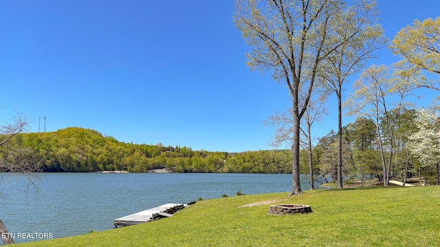 175 Kingfisher Rd, Rockwood, TN 37854 - photo 11